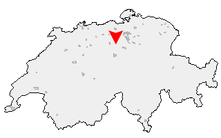 Karte von Beinwil (Freiamt)