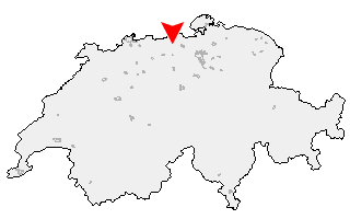 Karte von Riniken