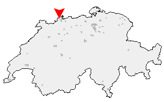 Karte von Binningen