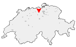 Karte von Büttikon