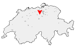 Karte von Benzenschwil