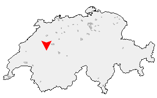 Karte von Alterswil