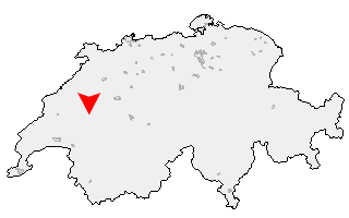 Karte von Neyruz (FR)