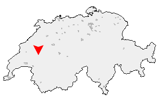 Karte von Villorsonnens