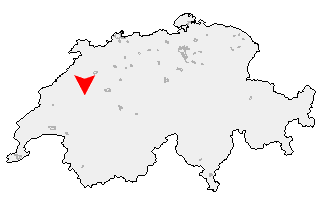 Karte von Wallenried